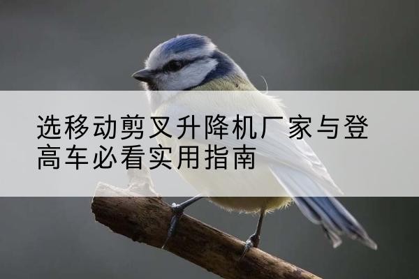 大余电动升降机厂家-选移动剪叉升降机厂家与登高车必看实用指南