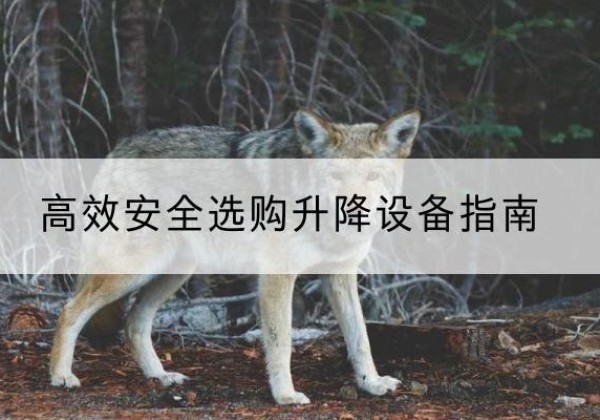 大余升降货梯厂家推荐-*安全选购升降设备指南
