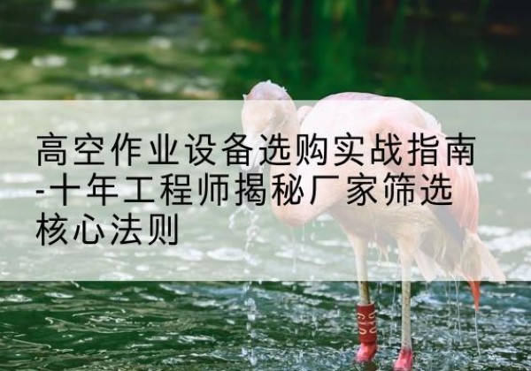 大余剪叉式升降机厂家-高空作业设备选购实战指南-十年工程师揭秘厂家筛选核心法则